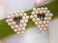 Vintage Pearl Dress Fur Clip Brooch Set Pair Glam Accent Pin Mid Century Jewelry Gift, VivianJoel.com