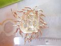 Vintage SARAH COVENTRY Pin Abstract Sea Urchin Brooch Gold Tone Plate Brutalist Mid Century Jewelry Gift, VivianJoel.com
