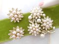 Vintage LISNER Pearl Brooch Earring SET Flower Leaf Pin Gold Tone Plate Clip On Designer Jewelry Gift Mid Century, VivianJoel.com