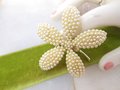 Vintage BSK Designer Brooch Orchid Flower Pin Corsage Seed Pearl Wedding Mid Century Jewelry Gift, VivianJoel.com