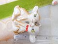 Vintage JAPAN Big Eye Deer Fawn Miniature Ceramic Porcelain Figurine Christmas Anytime Reindeer Mid Century Gift *as is*, VivianJoel.com