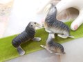 Vintage Walrus Miniature Family Set Trio LOT 3 Japan Bisque Porcelain Animal Figurine Ocean Mid Century, VivianJoel.com