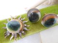 Vintage Operculum STERLING SILVER Brooch Sunburst Pin Designer Rode'Art Earrings Cat Eye Shiva Shell Mid Century Jewelry, VivianJoel.com
