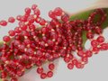 Vintage Cherry Red Flapper Glass Necklace Bead Art Deco Hand Knotted Long 60" Mid Century Jewelry Gift,  VivianJoel.com