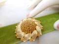 Vintage Sunflower Pin Domed Rhinestone Brooch Gold Plate Flower Pendant Mid Century Jewelry Gift, VivianJoel.com