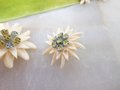 Vintage Edelweiss Scatter Pin Set Artisan Carved Flower Brooch Bovine Bone Handcraft Love Gift Jewelry Mid Century Gift, VivianJoel.com