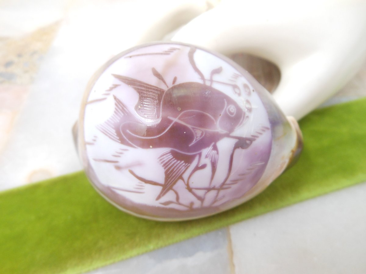 Vintage Carved Shell Tropical Angel Fish Cameo Collectible Beach Gift Artisan Handcarved Seashell Beach Tiki Art Sculpture, VivianJoel.com