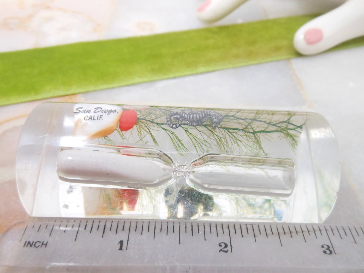 Vintage Lucite Aquarium Egg Timer Resin Plastic San Diego California Travel Souvenir Seahorse Hourglass Gift, VivianJoel.com