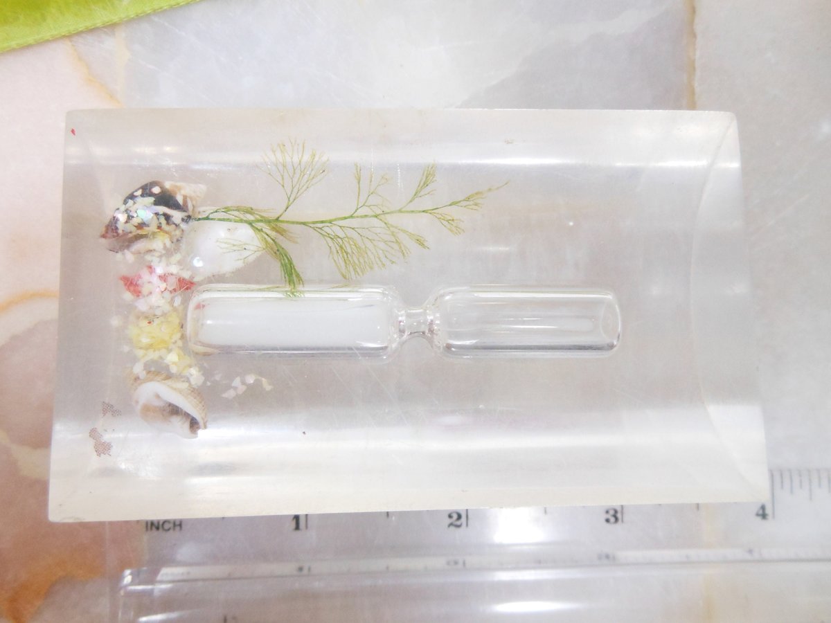 Vintage Lucite Aquarium Timer Hour Glass Egg Resin Plastic Beach Tropical Travel Souvenir Seahorse *as is*, VivianJoel.com